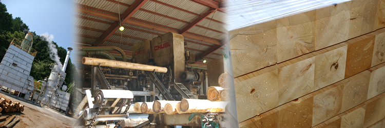 宇和国産材加工協同組合